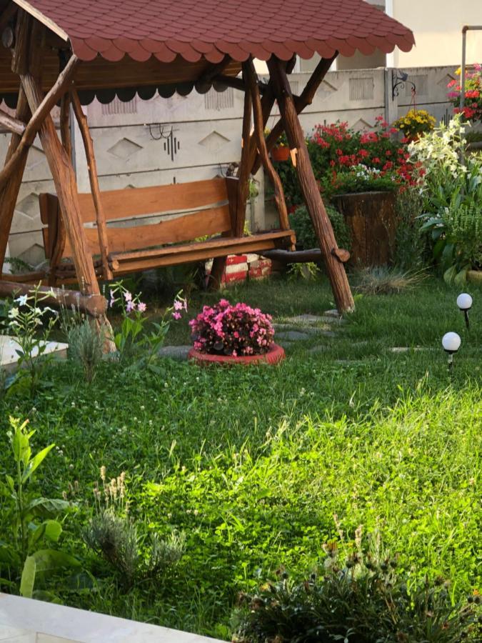 Doi Bujori Alba Iulia